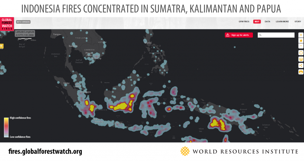  Most years, the forest fires are restricted to Kalimantan and Sumatra, but this year, Papua has also seen many hotspots. 