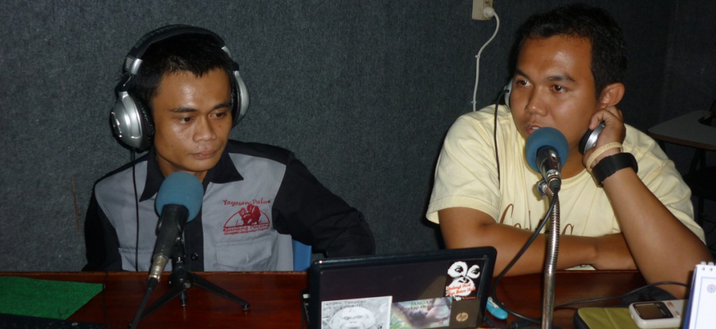 GPOCP Environmental Education staff member, Petrus Kanisius, and a guest share information about orangutan conservation with radio listeners. 